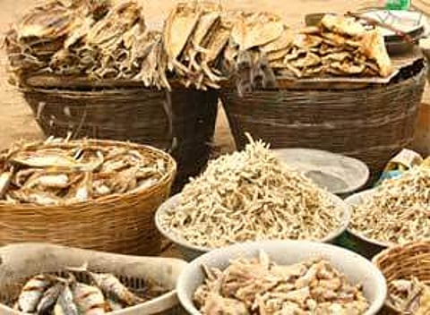 சென்னையில் நல்ல கருவாட்டுக் கடைகளே இல்லையா?