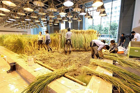 ஜப்பான்ல ஆஃபீஸ்லயே விவசாயம் பண்ணலாமாம்... இது புது டெக்னிக்கா இருக்கே!
