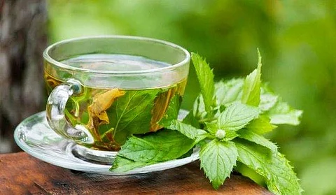 கிரீன் டீ குடித்தால் ரத்த சர்க்கரை அளவு குறையுமா? ஆய்வில் முக்கிய தகவல்