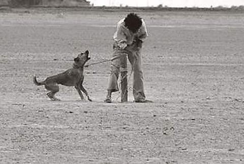 7. தீராநதியின் மீளாத்துயர்
