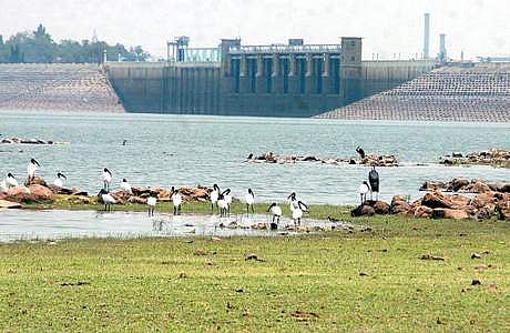 வைகை அணையில் ஞாயிற்றுக்கிழமை 22.90 அடியாக சரிந்துள்ள நீர்மட்டம்.