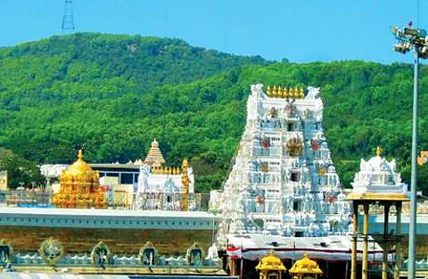 திருப்பதியில் கிரிக்கெட் வீரர் ரோகித் சர்மா, தினேஷ் கார்த்திக் சாமி தரிசனம்