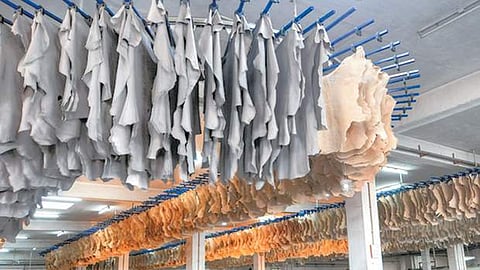 புதிய நெருக்கடியில் தோல் தொழில்