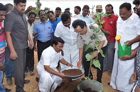 குளங்களின் கரைகளில் வேம்பு, புங்கம் உள்ளிட்ட செடிகளை நட்ட மு.க.ஸ்டாலின்