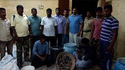 தூத்துக்குடியில் 300 கிலோ கடல் அட்டைகள் பறிமுதல்