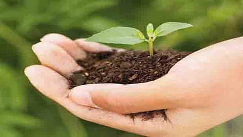 தனியாரிடம் பயிர்க் காப்பீடு தவிப்பில் விவசாயிகள்!