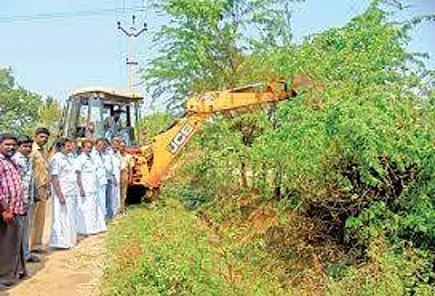மாநிலம் முழுவதும் சீமைக் கருவேல மரங்களை வெட்ட விதிக்கப்பட்டிருந்த தடை நீக்கம்: உயர்நீதிமன்றம் உத்தரவு!