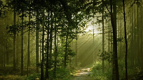 விண்ணைக் கண்காணிப்போம்! மண்ணைக் காப்போம்!