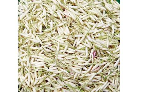 தோவாளை சந்தையில் பூக்கள் விலை உயர்வு: பிச்சிப்பூ கிலோ ரூ. 1,325