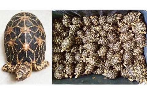 கோப்புப் படம்.