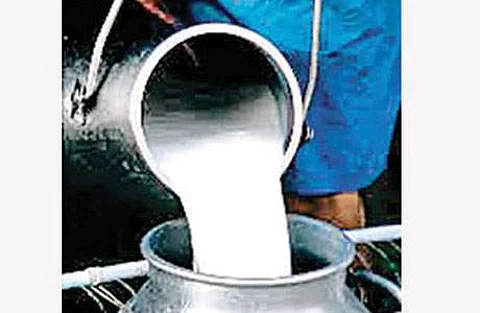 தமிழகத்தில் பால் கொள்முதல் விலையை உயர்த்தி தமிழக அரசு உத்தரவு