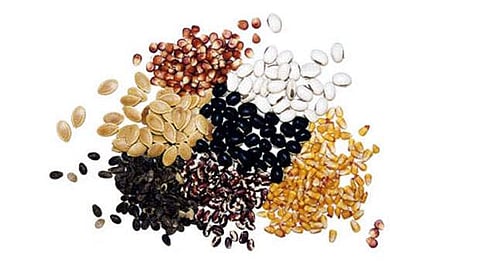 விதைச் சான்று உதவி இயக்குநர் அலுவலகம் பல்லடத்தில் அமையுமா?