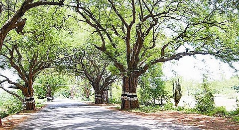 ஒன்ஸ் மோர்