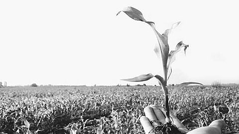 விவசாயிகளை விட்டு விலகும் வேளாண் அலுவலர்கள்! கேள்விக்குறியாகும் உணவு உற்பத்தி