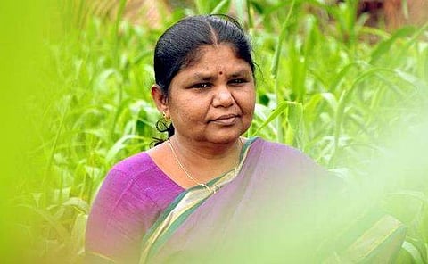 சூர்யாவுக்கு எதிராகக் கருத்துக் கூறிய தமிழிசைக்கு பாலபாரதியின் பதில்