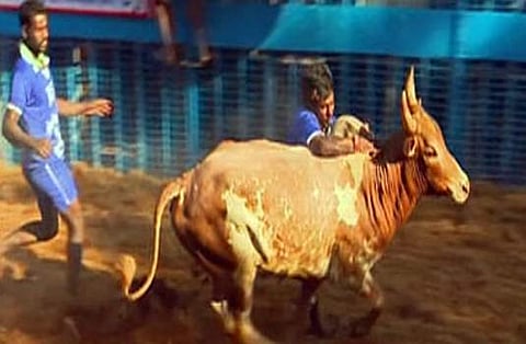 அவனியாபுரம், பாலமேடு, அலங்காநல்லூர் ஜல்லிக்கட்டுக்கு கூடுதலாக ஒரு மணி நேரம் அனுமதி: காலை 8 முதல் மாலை 4 மணி வரை நடைபெறும்