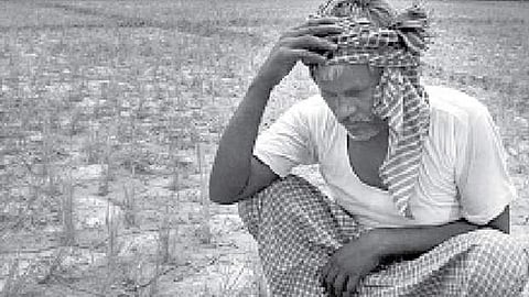 ஆதாயம் இல்லா ஆதார விலை: விரக்தியில் காவிரி-டெல்டா