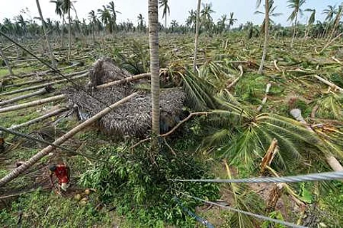 கஜா புயல் நிவாரணம்: மத்திய அரசு ரூ.1146 கோடி நிதி ஒதுக்கீடு