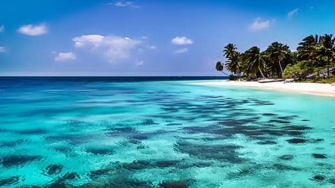 தனியுரிமைப் பொருளாதார மண்டலம்