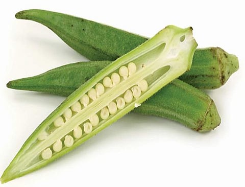 வெண்டைக்காயால் ஆஸ்துமா குறையும்!