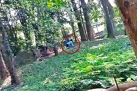 மிருகக்காட்சி சாலையில் சிங்கம் இருந்த பகுதியில் குதித்த இளைஞர்: மீட்கப்பட்ட 'திக் திக்' நிமிடங்கள்! (விடியோ)