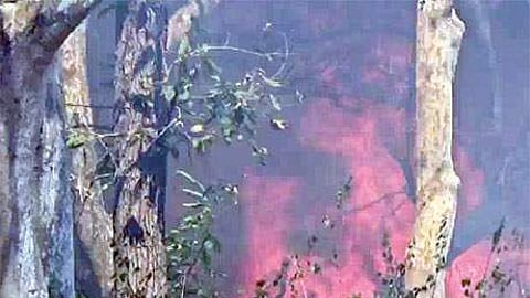 கோப்புப் படம்