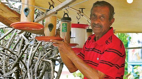உலக சிட்டுக்குருவிகள் தினத்தில் உங்களுக்காக ஒரு செய்தி! படித்துவிட்டு முடிவு செய்யுங்கள்!