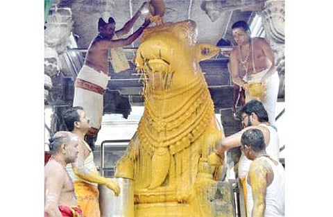 பிரதோஷத்தையொட்டி, அருணாசலேஸ்வரர் கோயில் பெரிய நந்திக்கு நடைபெற்ற சந்தன அபிஷேகம்.