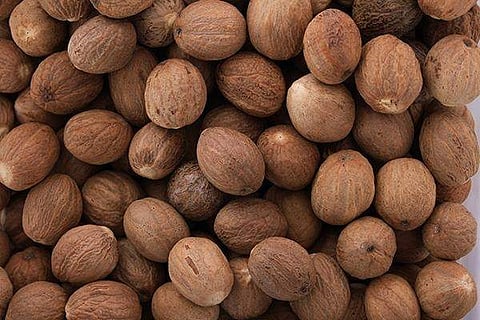 இன்றைய மருத்துவ சிந்தனை: ஜாதிக்காய்