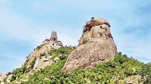 சோளிங்கா் காா்த்திகை பெருவிழா: தரிசனம் செய்ய முடியாமல் பக்தா்கள் ஏமாற்றம்!