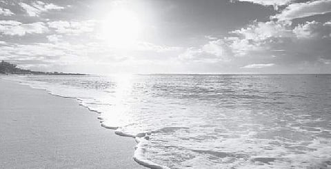 சங்கப் பாடல்களில் 'வேகம்' சித்தரிக்கும் திறன்!