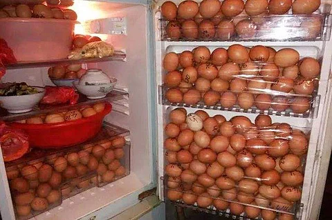 ஒன்றல்ல..இரண்டல்ல. 1000 முட்டைகளைத் திருடிய உணவுத் தொழிற்சாலை காவலாளி!