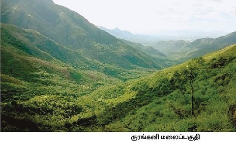 கருவூலம்: தேனி மாவட்டம்