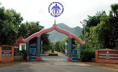 கால்நடை மருத்துவ படிப்பில் சேர விண்ணப்பங்கள் வரவேற்பு