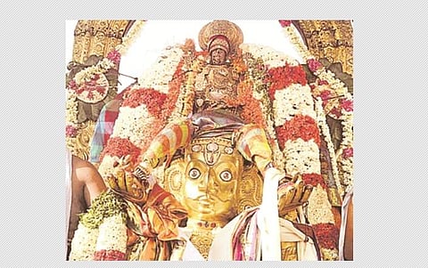 காஞ்சி கருட சேவை!