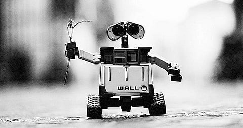 பொம்மை வடிவமைப்பு படிப்பு!