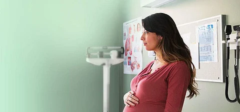 pregnancy
