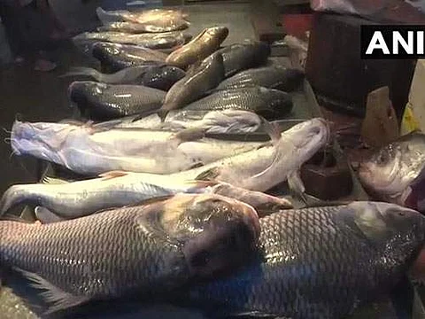 அசாமில் வெளிமாநில மீன்கள் விற்பனைக்கு தடை