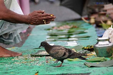 உத்திராயணத்தின் கடைசி மாதத்தில் பித்ருக்கள் ஆசி நிறைந்த அமாவாசை!