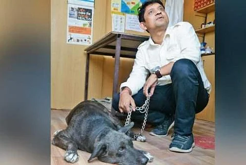 புராரி கூட்டுத்தற்கொலை: எஜமானர்களின் இழப்பைத் தாங்க இயலாத வளர்ப்பு நாய் ஹார்ட் அட்டாக்கில் மரணம்!