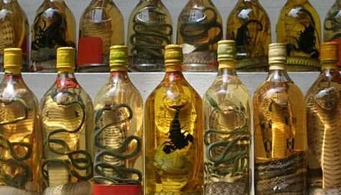 பாம்பு ஒயின் தயாரிக்க முயற்சித்த சீனப்பெண் பாம்புக் கடியால் மரணம்!