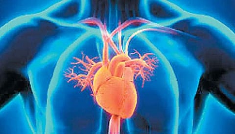 ஆயுள் காக்கும் ஆயுர்வேதம்: இதயத்தைச் சீராக்க... எல்லாம் சீராகும்!