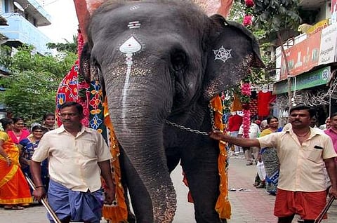 திருச்செந்தூர் முருகன் கோயிலில் ஆவணித் திருவிழா கொடிப்பட்ட வீதி உலா