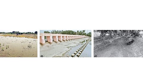 1.பழைய தண்ணீர் தேங்கிய நிலையில், காவிரியில் தண்ணீரின்றி காணப்படும் திருமலைராஜனாறு. 2. தண்ணீரின்றி வறண்டு கிடக்கும் திருமலைராஜனாறு கடைமடை அணைப் பகுதி. 3. தூர்வாரப்பட்டு தண்ணீர் வரத்தின்றி காணப்படும் பட