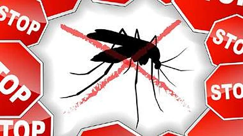15. டெங்கு காய்ச்சல் 6 - டெங்கு காய்ச்சலுக்கான பரிசோதனைகள் - சிகிச்சைகள்