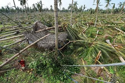 திருவாரூர் இடைத்தேர்தல்: புயல் நிவாரணப் பொருட்களை வழங்க தேர்தல் ஆணையம் அனுமதி