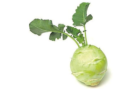 நூல்கோலின் பயன்கள்!