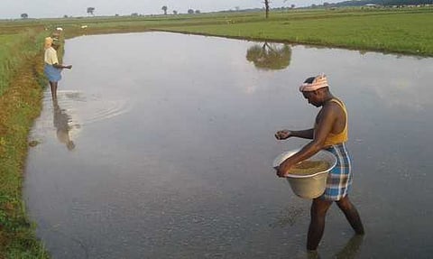 பிரதிப் படம்