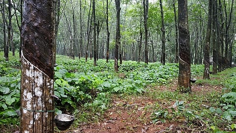 மனதின் குரல் மெய்ப்பட வேண்டும்