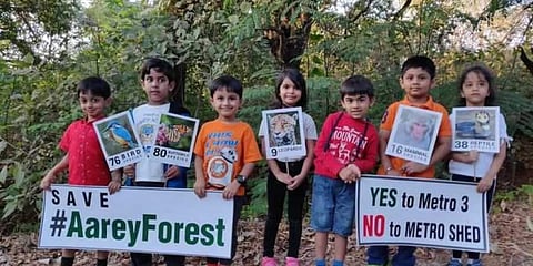 புகைப்படம்: டிவிட்டர் | ஆரே வனம்